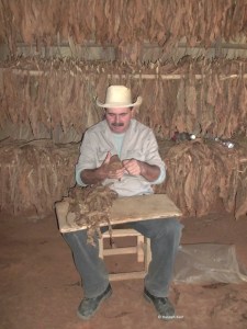 The tobacco farmer in Viñales