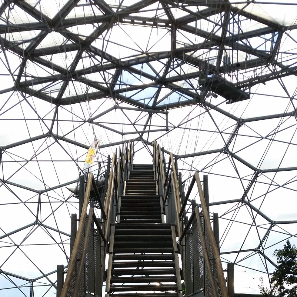 Eden Project, Rainforest Biome, yoga